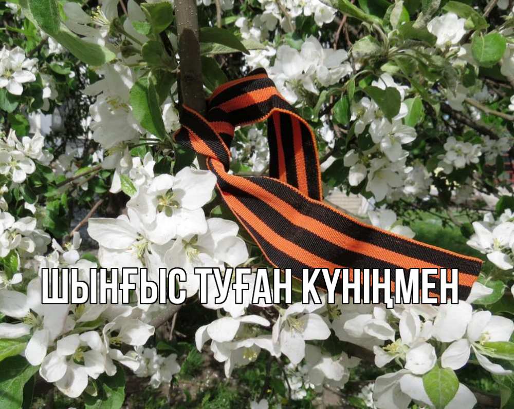 Картинка  с именем , ШЫНҒЫС! ТУҒАН КҮНІҢМЕН!