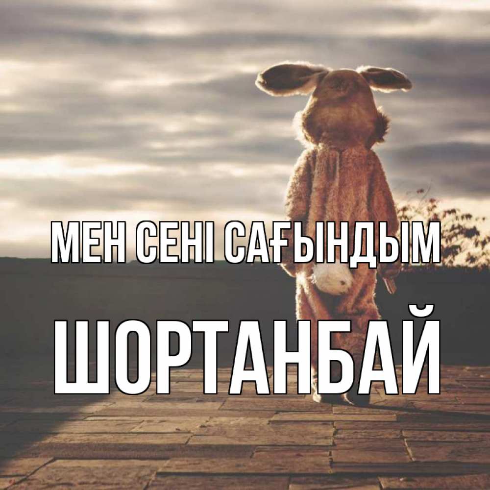 Күн сайын ашық хат с именем, ШОРТАНБАЙ Мен сені сағындым даже в костюме зайца Онлайн тегін жүктеп алу тілектері бар керемет карта 