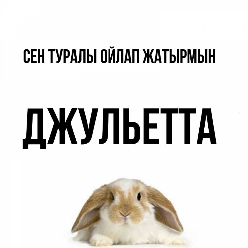 Күн сайын ашық хат с именем, Джульетта Сен туралы ойлап жатырмын подписать своими руками онлайн Онлайн тегін жүктеп алу тілектері бар керемет карта 