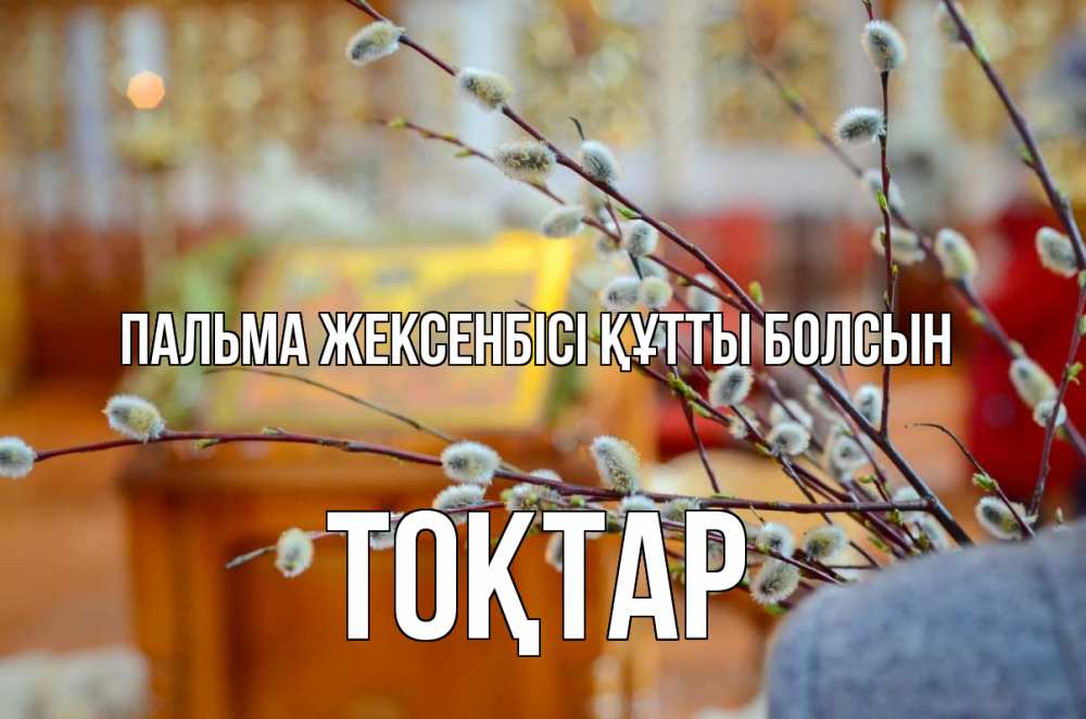 Картинка Пальма жексенбісі құтты болсын, ТОҚТАР