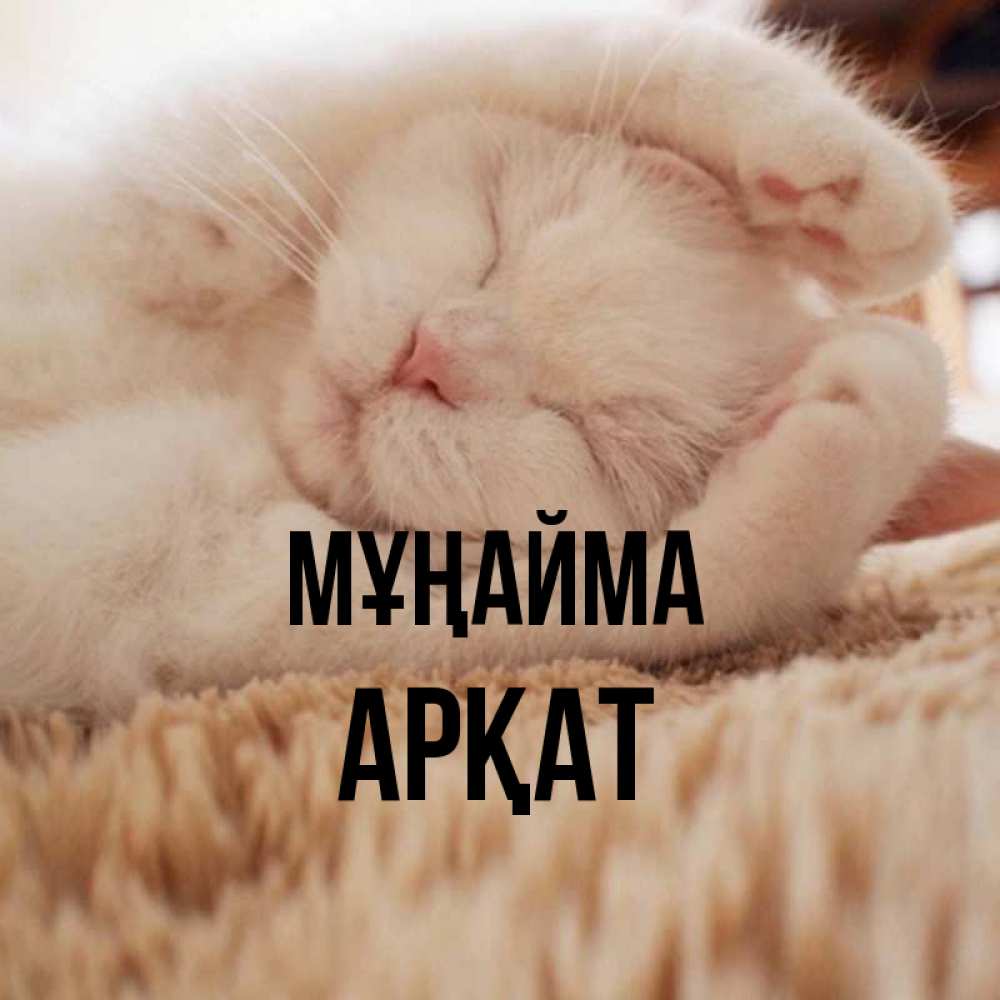 Күн сайын ашық хат с именем, Арқат Мұңайма Котенок спит Онлайн тегін жүктеп алу тілектері бар керемет карта 