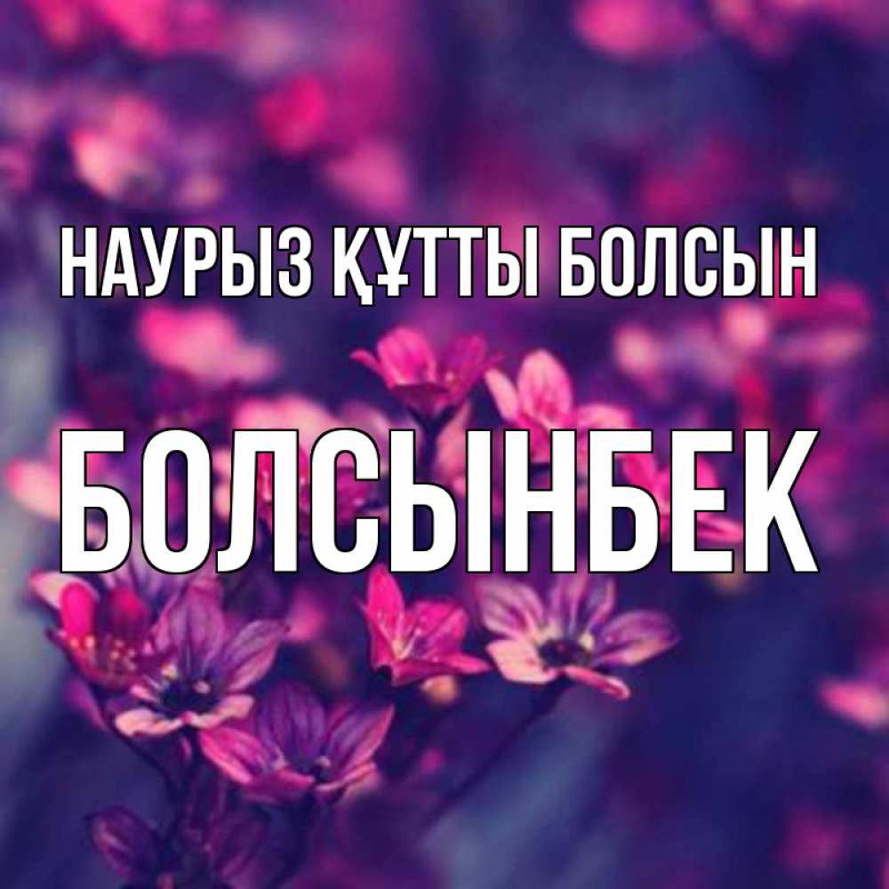 Күн сайын ашық хат с именем, Болсынбек Наурыз құтты болсын небольшие цветы 1 Онлайн тегін жүктеп алу тілектері бар керемет карта 