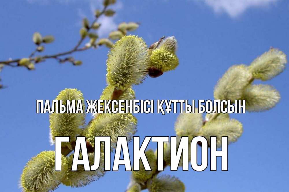Күн сайын ашық хат с именем, Галактион Пальма жексенбісі құтты болсын верба Онлайн тегін жүктеп алу тілектері бар керемет карта 