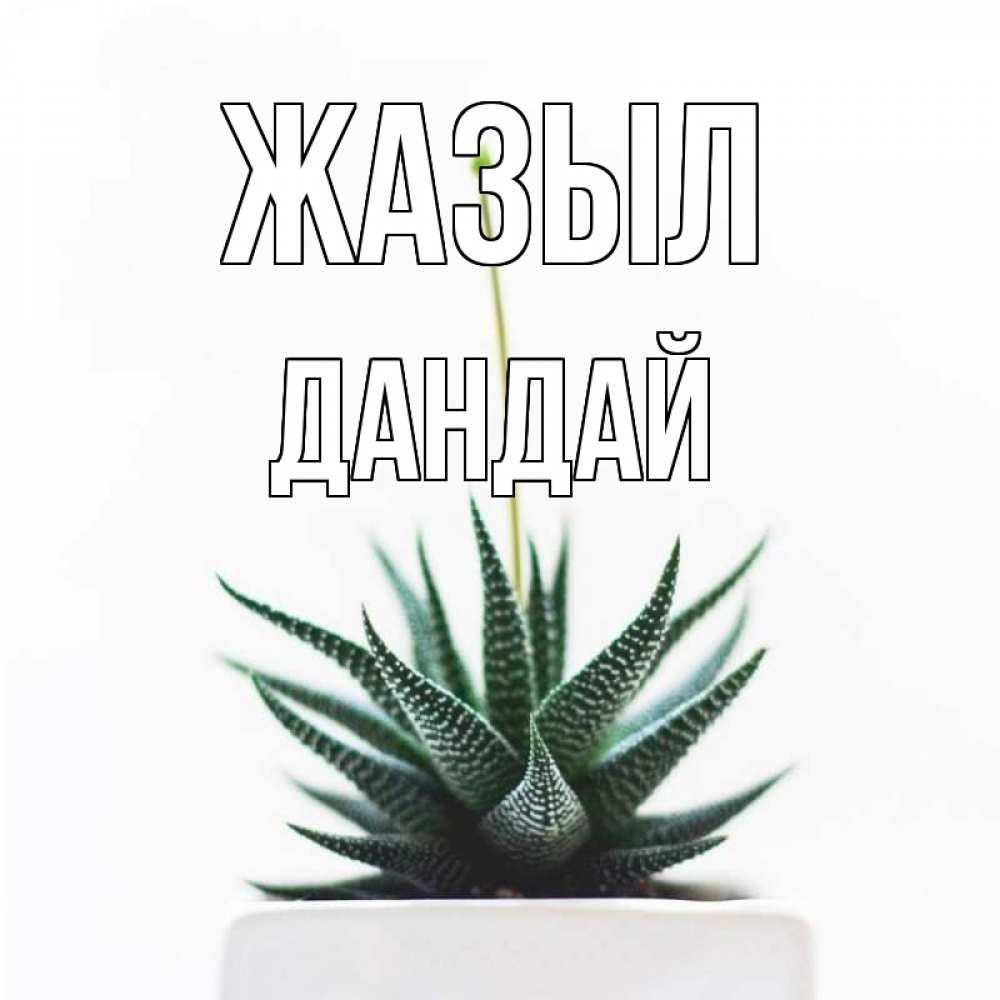 Күн сайын ашық хат с именем, Дандай Жазыл короче это непонятная колючка Онлайн тегін жүктеп алу тілектері бар керемет карта 