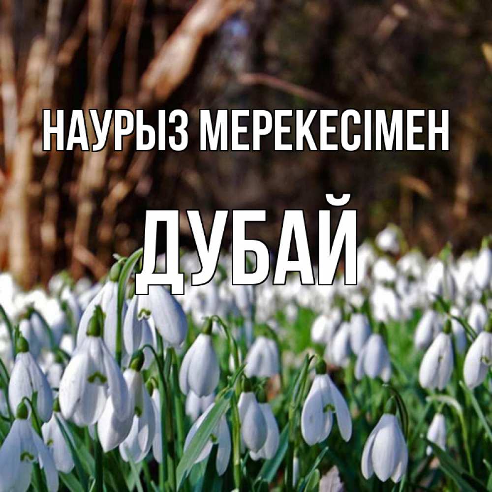 Күн сайын ашық хат с именем, Дубай Наурыз мерекесімен с подснежниками 1 Онлайн тегін жүктеп алу тілектері бар керемет карта 