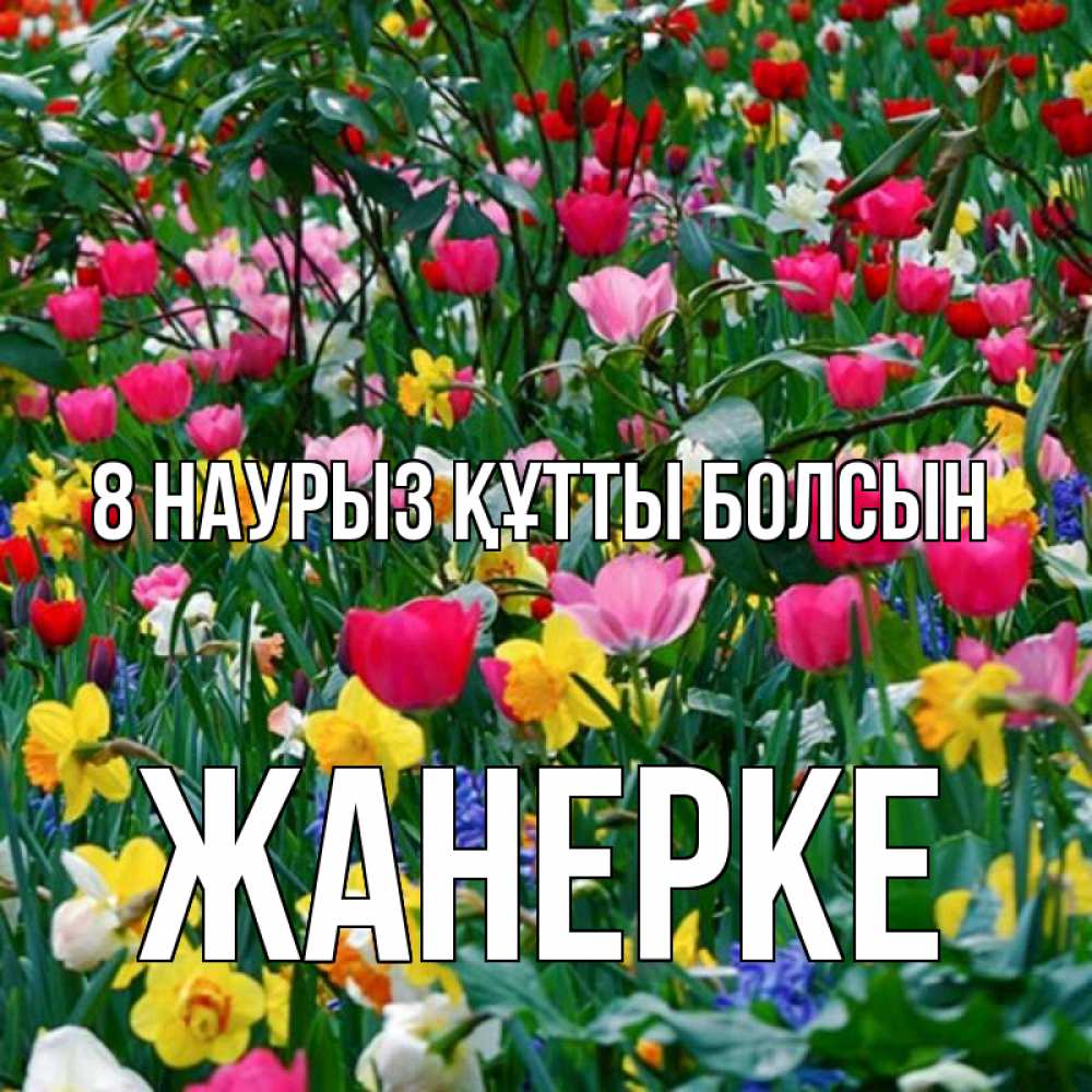 Күн сайын ашық хат с именем, ЖАНЕРКЕ 8 наурыз құтты болсын с международным женским днем поздравления для женщины Онлайн тегін жүктеп алу тілектері бар керемет карта 