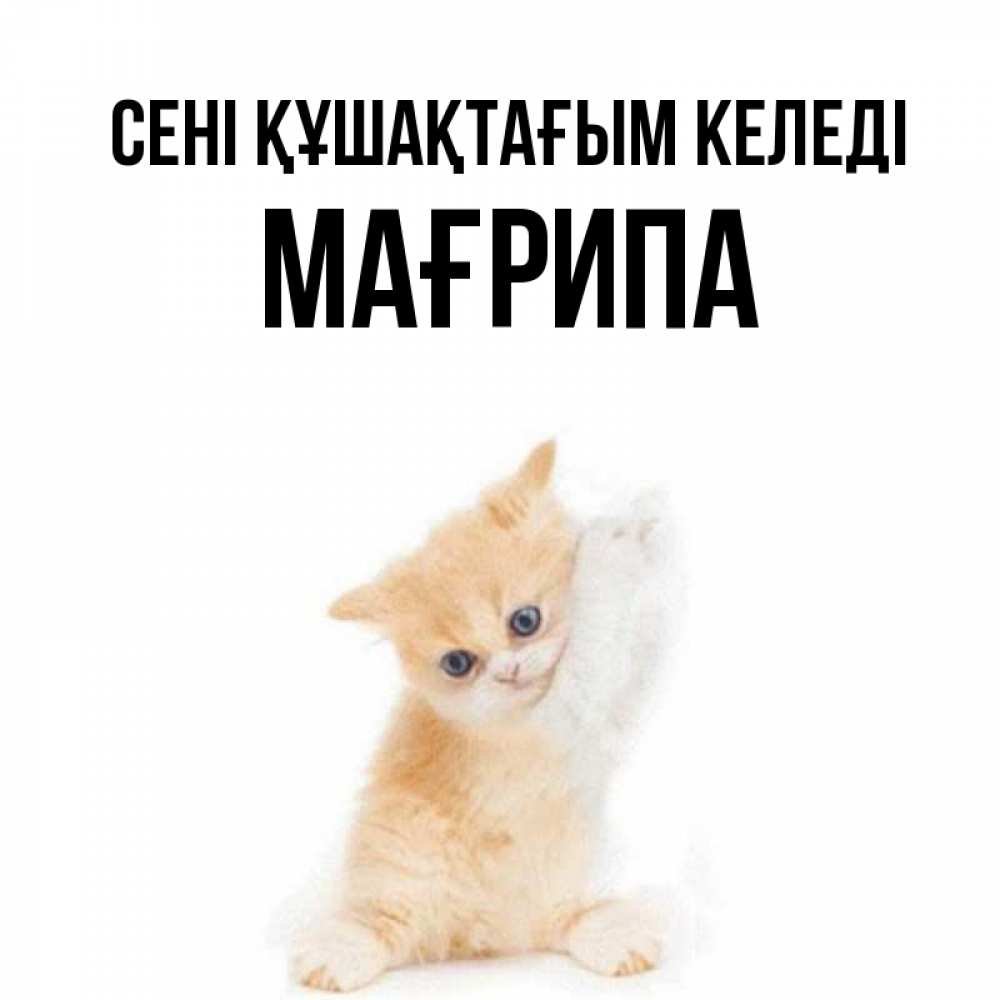 Күн сайын ашық хат с именем, МАҒРИПА сені құшақтағым келеді я хочу очень скорее обнимаешек Онлайн тегін жүктеп алу тілектері бар керемет карта 