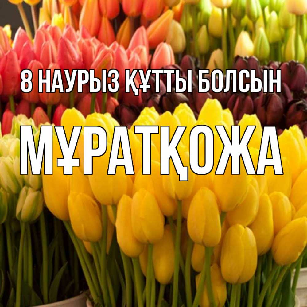 Күн сайын ашық хат с именем, Мұратқожа 8 наурыз құтты болсын цветы Онлайн тегін жүктеп алу тілектері бар керемет карта 