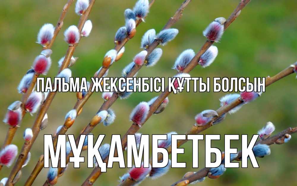 Күн сайын ашық хат с именем, Мұқамбетбек Пальма жексенбісі құтты болсын верба Онлайн тегін жүктеп алу тілектері бар керемет карта 