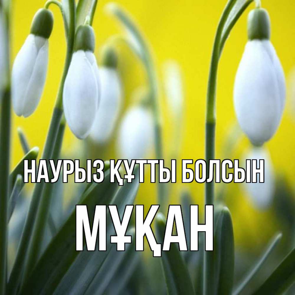 Күн сайын ашық хат с именем, Мұқан Наурыз құтты болсын весенние цветы Онлайн тегін жүктеп алу тілектері бар керемет карта 
