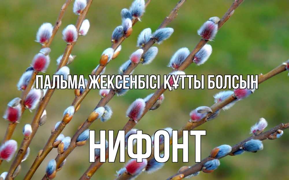 Күн сайын ашық хат с именем, Нифонт Пальма жексенбісі құтты болсын верба Онлайн тегін жүктеп алу тілектері бар керемет карта 