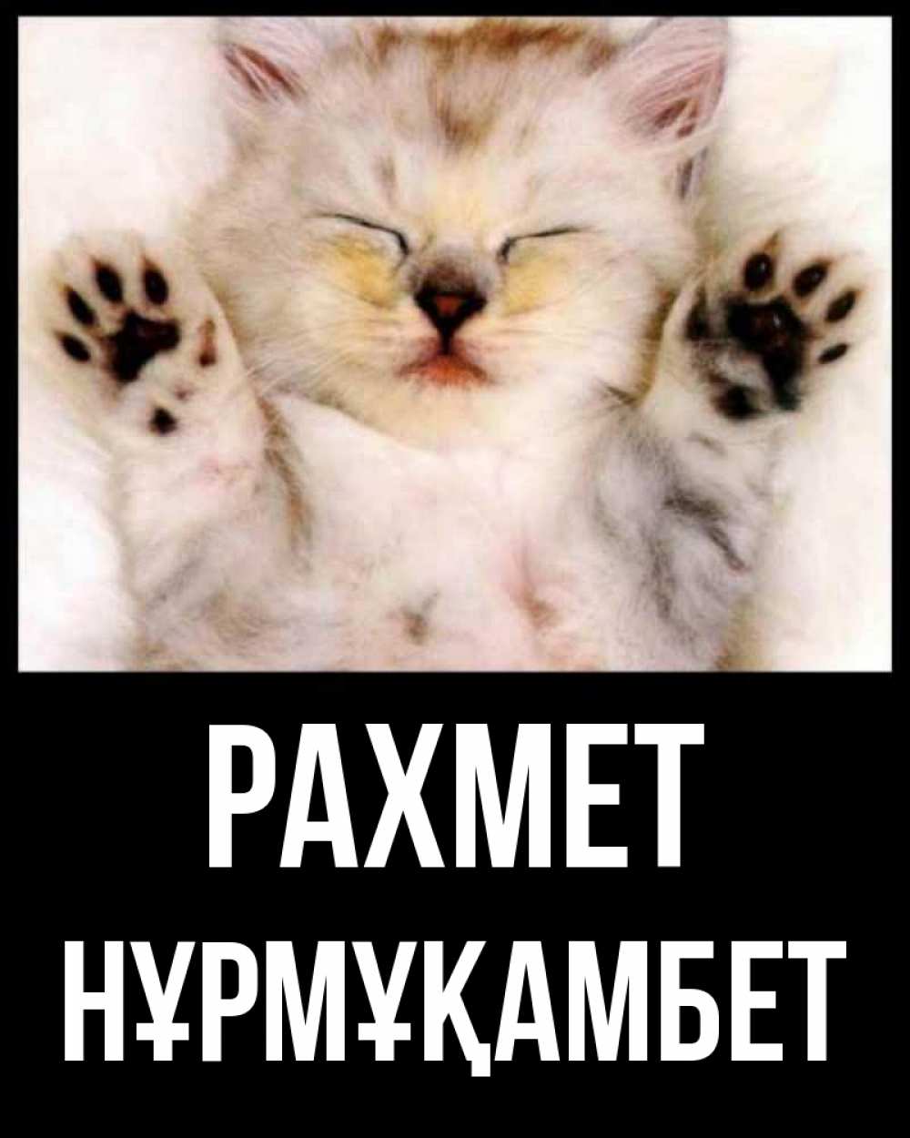 Күн сайын ашық хат с именем, НҰРМҰҚАМБЕТ рахмет маленький котенок Онлайн тегін жүктеп алу тілектері бар керемет карта 