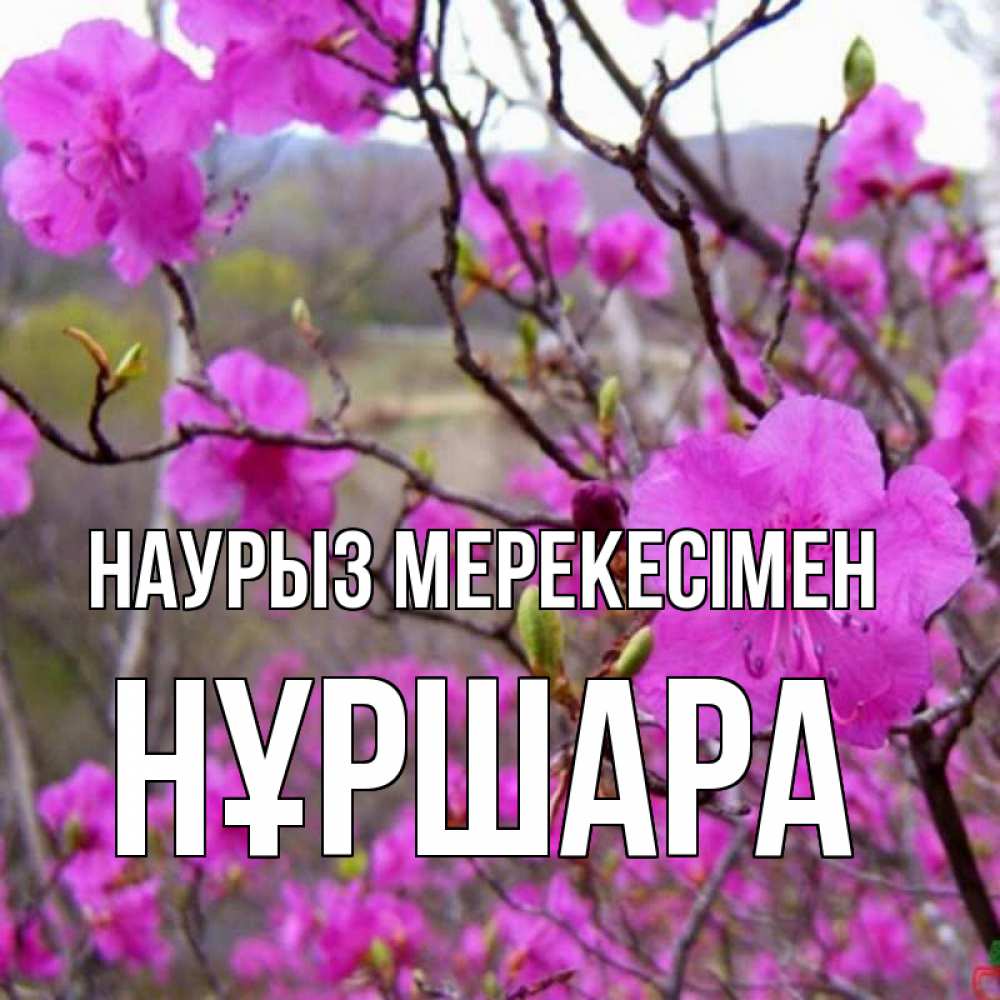 Күн сайын ашық хат с именем, НҰРШАРА Наурыз мерекесімен праздник весны наурыз Онлайн тегін жүктеп алу тілектері бар керемет карта 