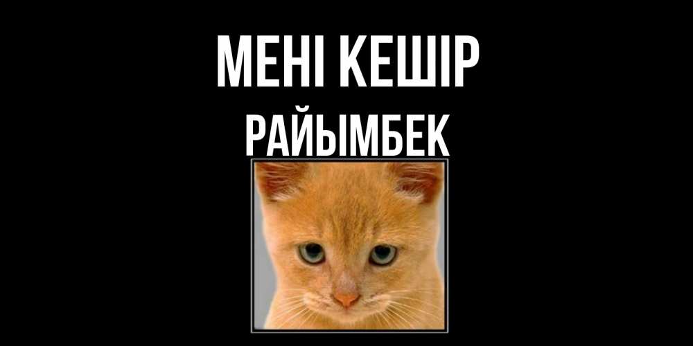 Күн сайын ашық хат с именем, РАЙЫМБЕК Мені кешір рыжий грустный кот просит прощения Онлайн тегін жүктеп алу тілектері бар керемет карта 