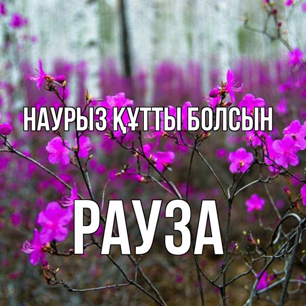 Күн сайын ашық хат с именем, РАУЗА Наурыз құтты болсын дикие цветы Онлайн тегін жүктеп алу тілектері бар керемет карта 
