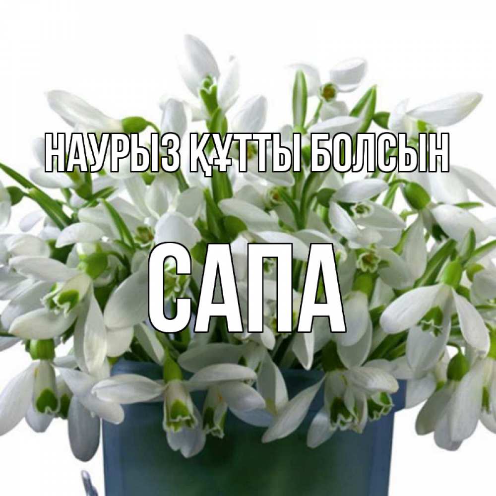 Күн сайын ашық хат с именем, САПА Наурыз құтты болсын цветы к наурызу Онлайн тегін жүктеп алу тілектері бар керемет карта 
