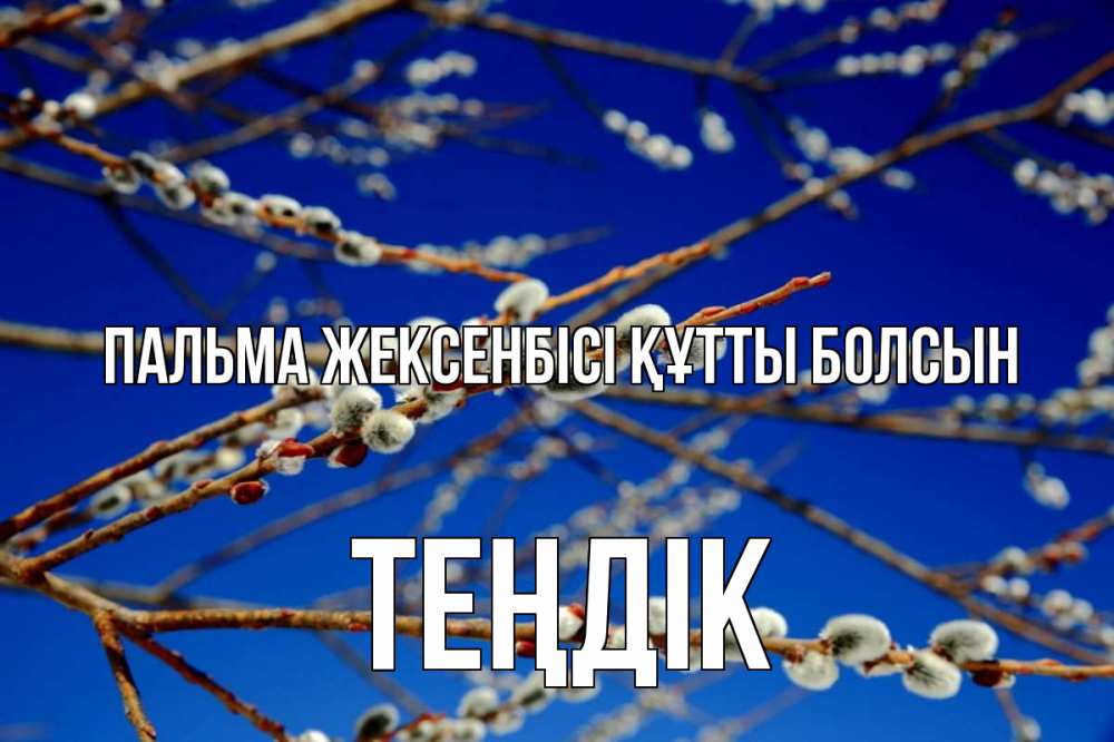 Күн сайын ашық хат с именем, ТЕҢДІК Пальма жексенбісі құтты болсын верба Онлайн тегін жүктеп алу тілектері бар керемет карта 