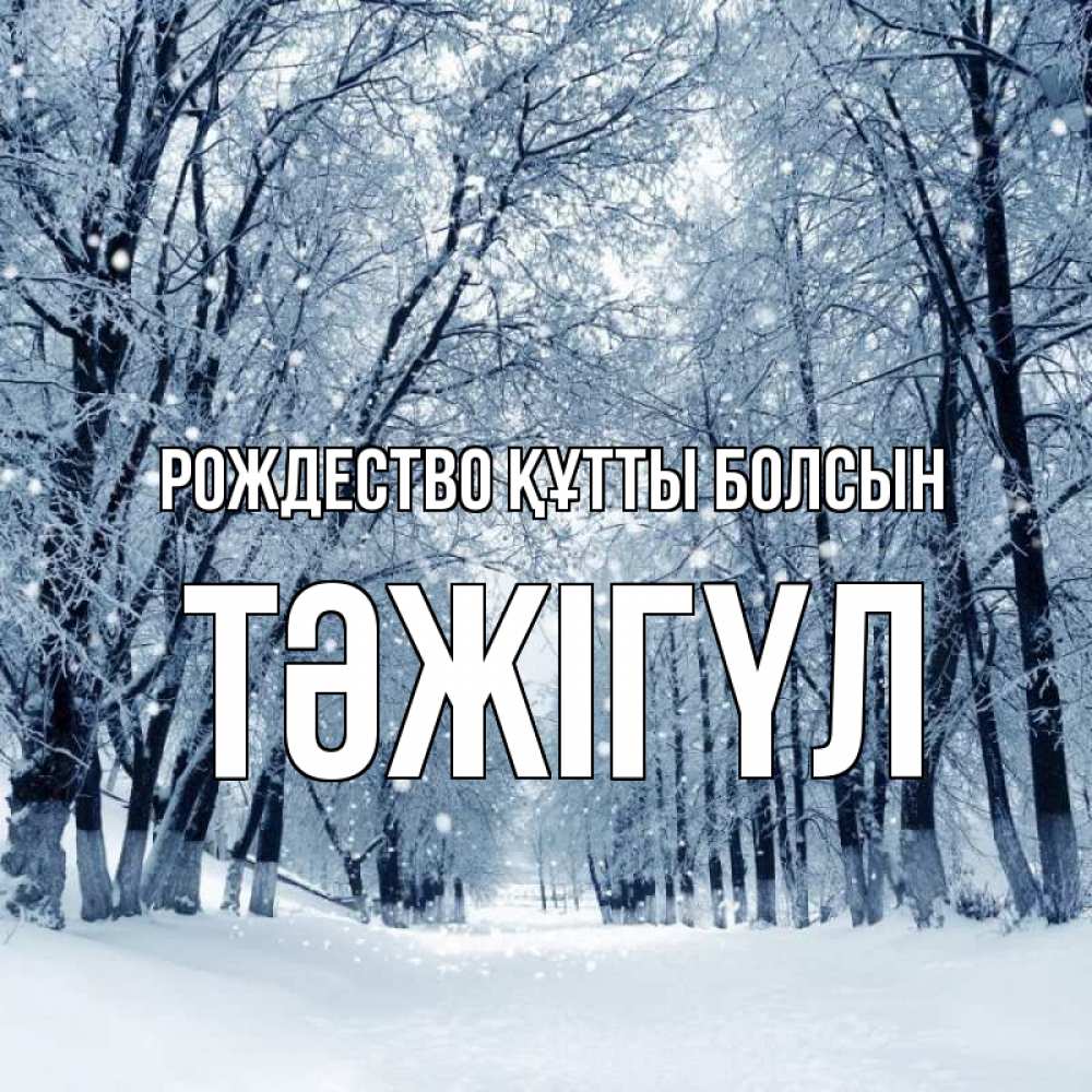 Күн сайын ашық хат с именем, ТӘЖІГҮЛ Рождество құтты болсын снег, лес, парк Онлайн тегін жүктеп алу тілектері бар керемет карта 