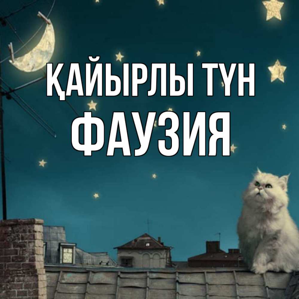 Күн сайын ашық хат с именем, ФАУЗИЯ Қайырлы түн белый кот сидит на крыше Онлайн тегін жүктеп алу тілектері бар керемет карта 