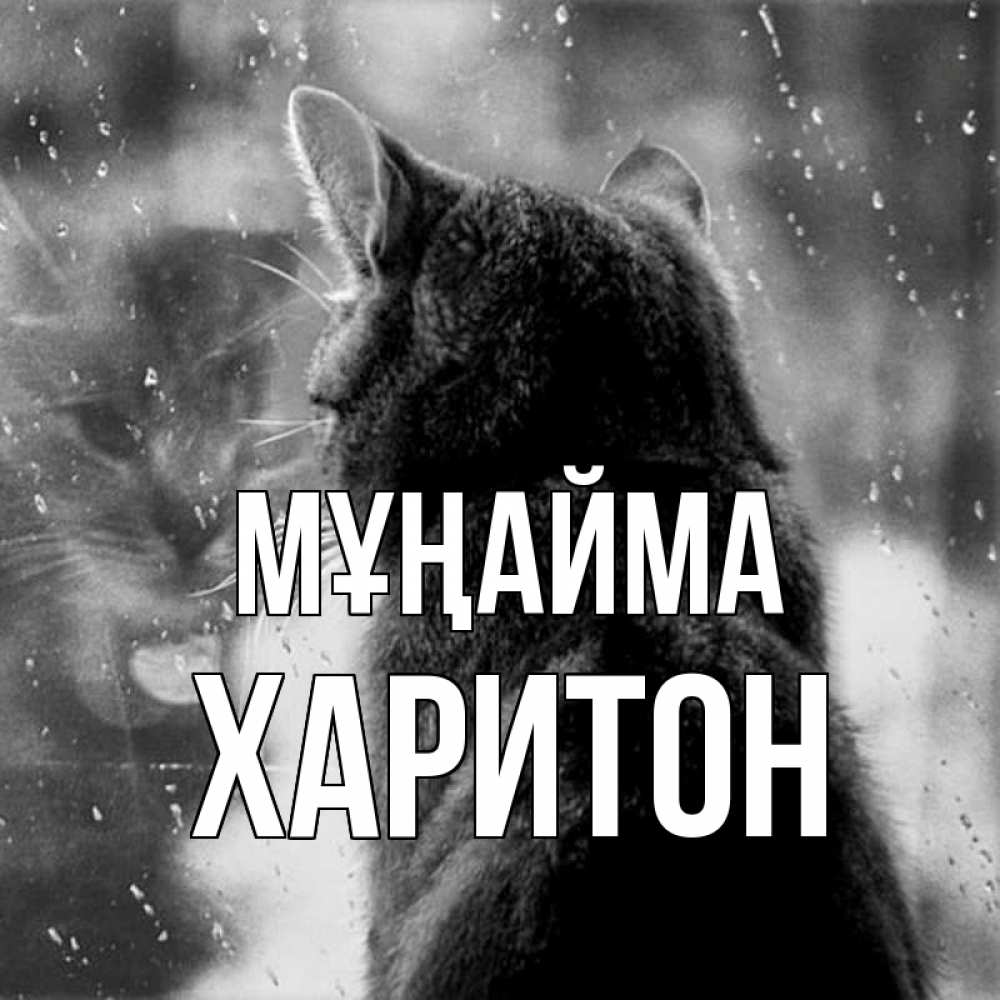 Күн сайын ашық хат с именем, Харитон Мұңайма отражение кота 1 Онлайн тегін жүктеп алу тілектері бар керемет карта 
