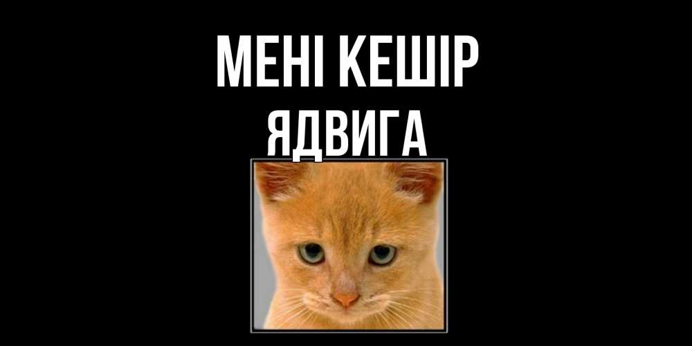 Күн сайын ашық хат с именем, Ядвига Мені кешір рыжий грустный кот просит прощения Онлайн тегін жүктеп алу тілектері бар керемет карта 