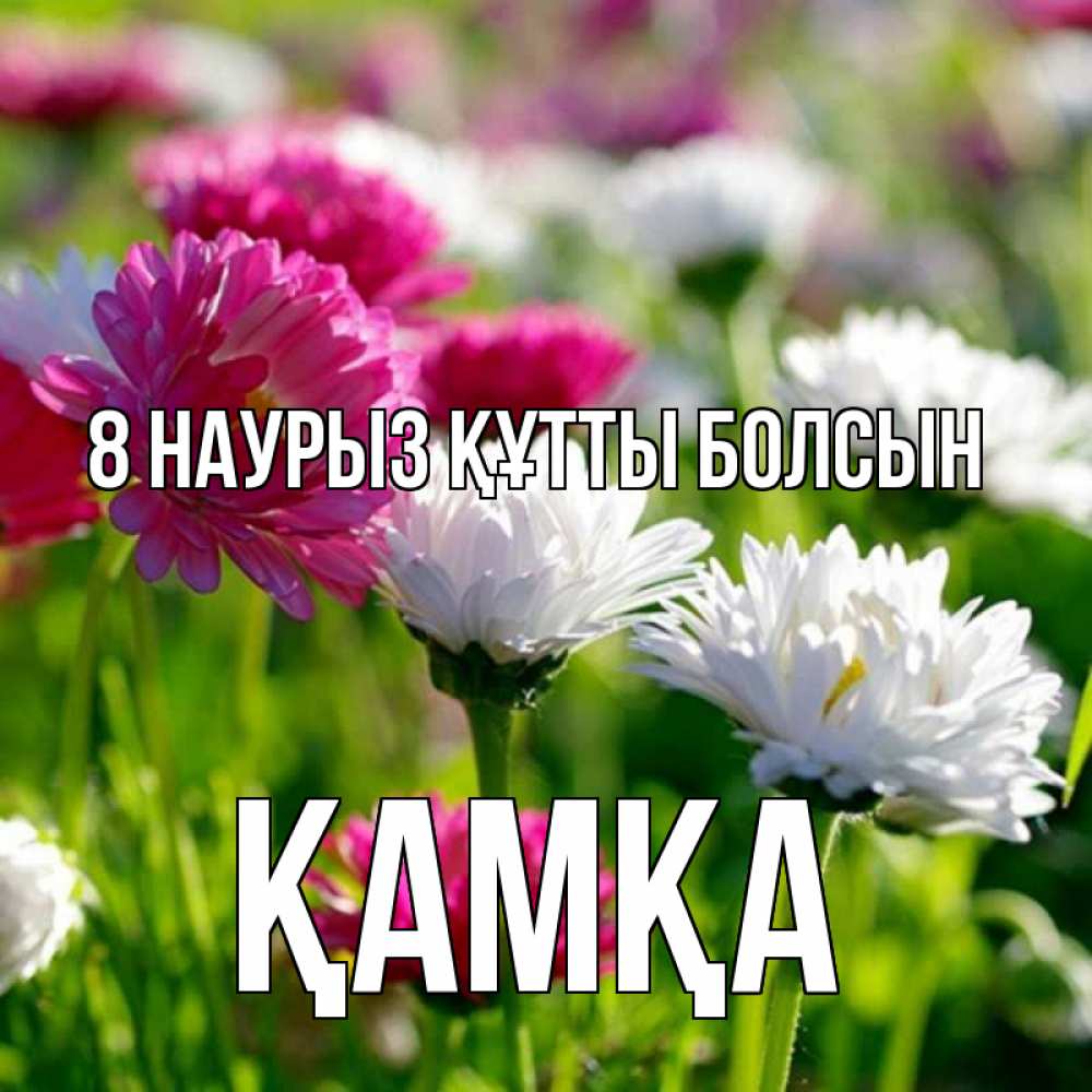 Күн сайын ашық хат с именем, ҚАМҚА 8 наурыз құтты болсын международный женский день 1 Онлайн тегін жүктеп алу тілектері бар керемет карта 