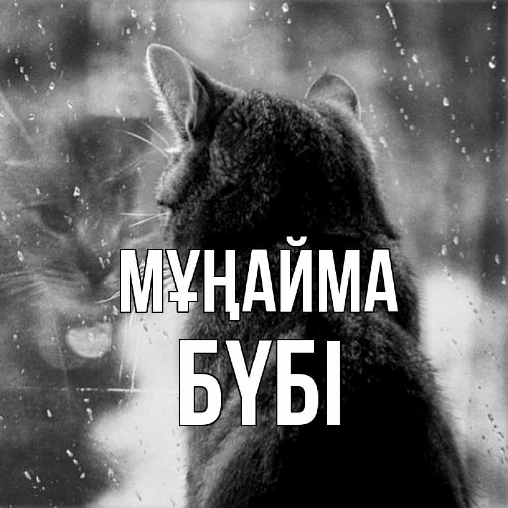 Күн сайын ашық хат с именем, БҮБІ Мұңайма отражение кота 1 Онлайн тегін жүктеп алу тілектері бар керемет карта 