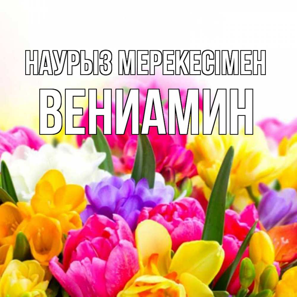 Күн сайын ашық хат с именем, Вениамин Наурыз мерекесімен тюльпаны Онлайн тегін жүктеп алу тілектері бар керемет карта 