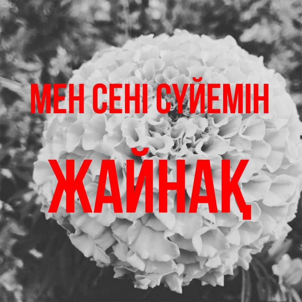 Күн сайын ашық хат с именем, Жайнақ Мен сені сүйемін подпись Онлайн тегін жүктеп алу тілектері бар керемет карта 
