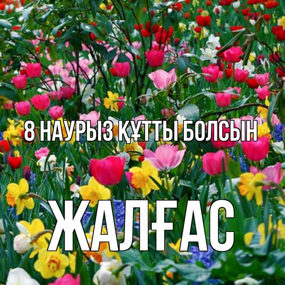 Күн сайын ашық хат с именем, Жалғас 8 наурыз құтты болсын с международным женским днем поздравления для женщины Онлайн тегін жүктеп алу тілектері бар керемет карта 