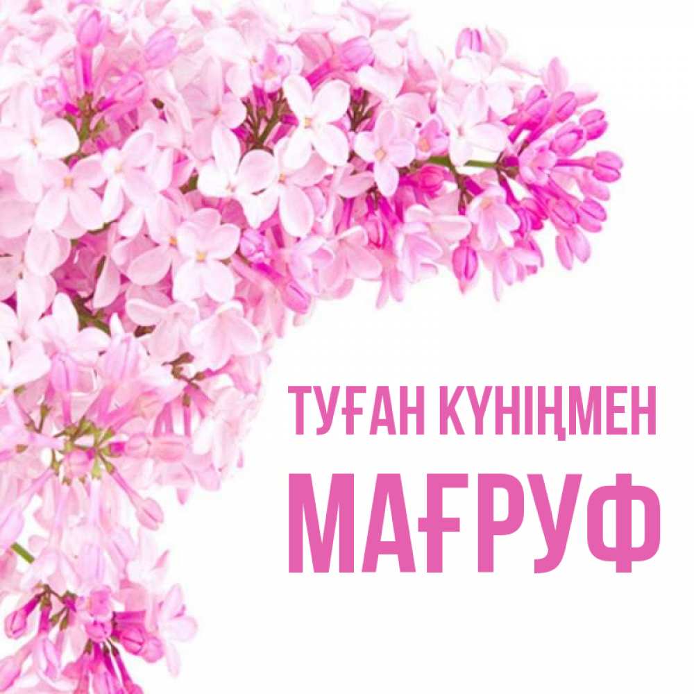 Күн сайын ашық хат с именем, МАҒРУФ Туған күніңмен Сирень на белом фоне Онлайн тегін жүктеп алу тілектері бар керемет карта 