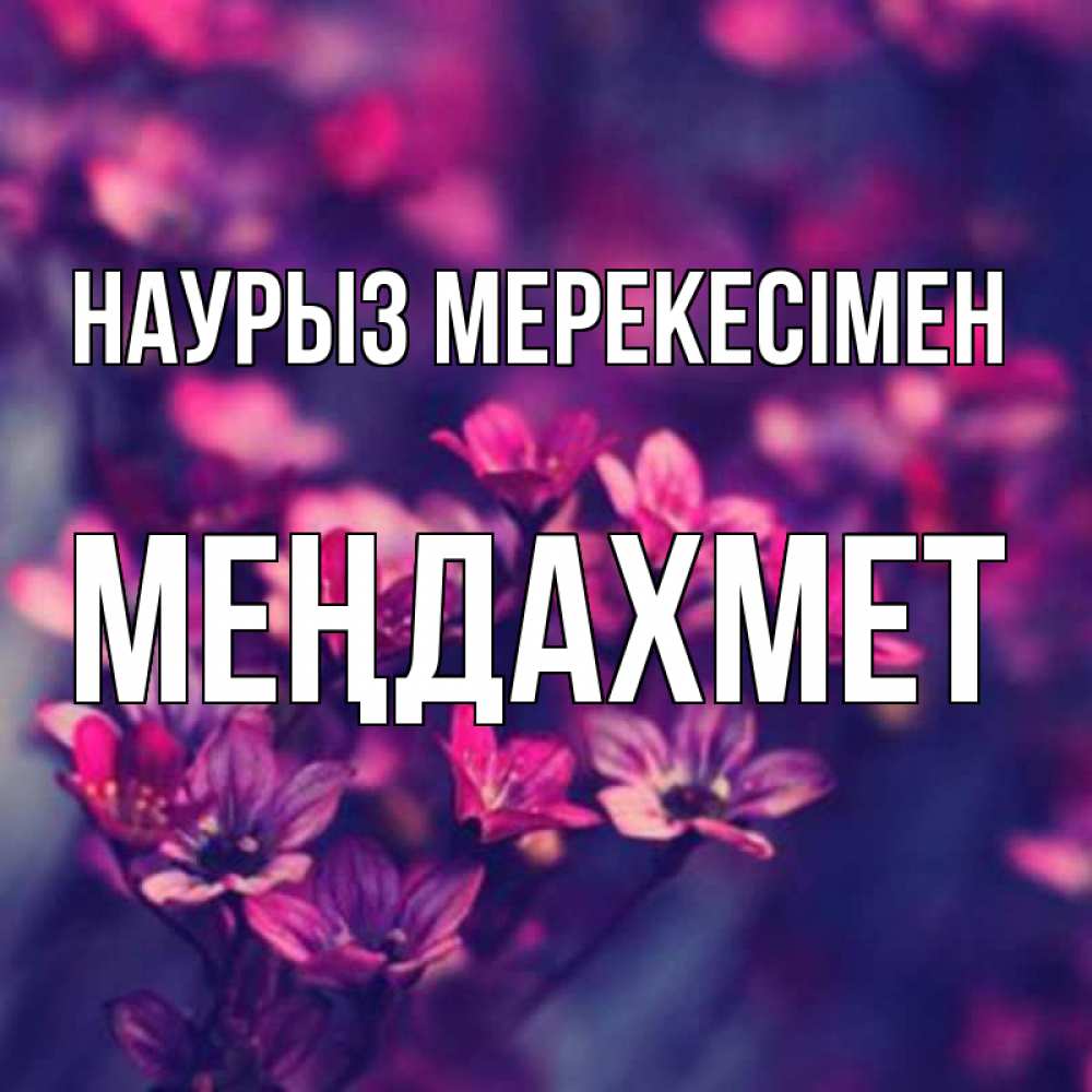 Күн сайын ашық хат с именем, МЕҢДАХМЕТ Наурыз мерекесімен небольшие цветы 1 Онлайн тегін жүктеп алу тілектері бар керемет карта 