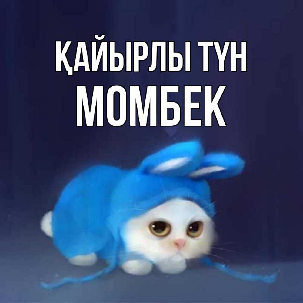 Күн сайын ашық хат с именем, МОМБЕК Қайырлы түн кот в голубом костюме кролика с ушками Онлайн тегін жүктеп алу тілектері бар керемет карта 