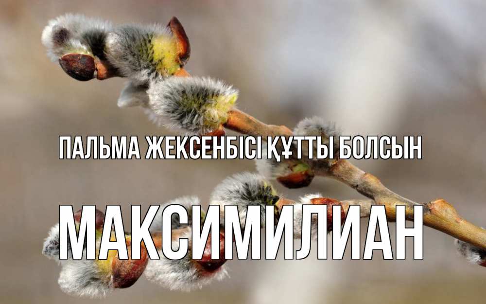 Күн сайын ашық хат с именем, Максимилиан Пальма жексенбісі құтты болсын Верба Онлайн тегін жүктеп алу тілектері бар керемет карта 