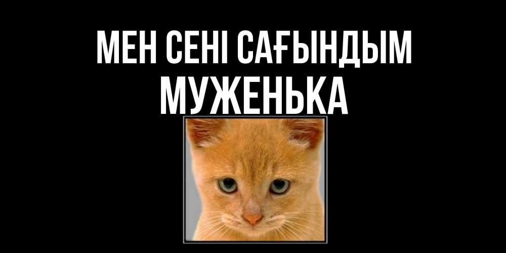 Күн сайын ашық хат с именем, Муженька Мен сені сағындым открытки рыжий котенок скучает по тебе Онлайн тегін жүктеп алу тілектері бар керемет карта 