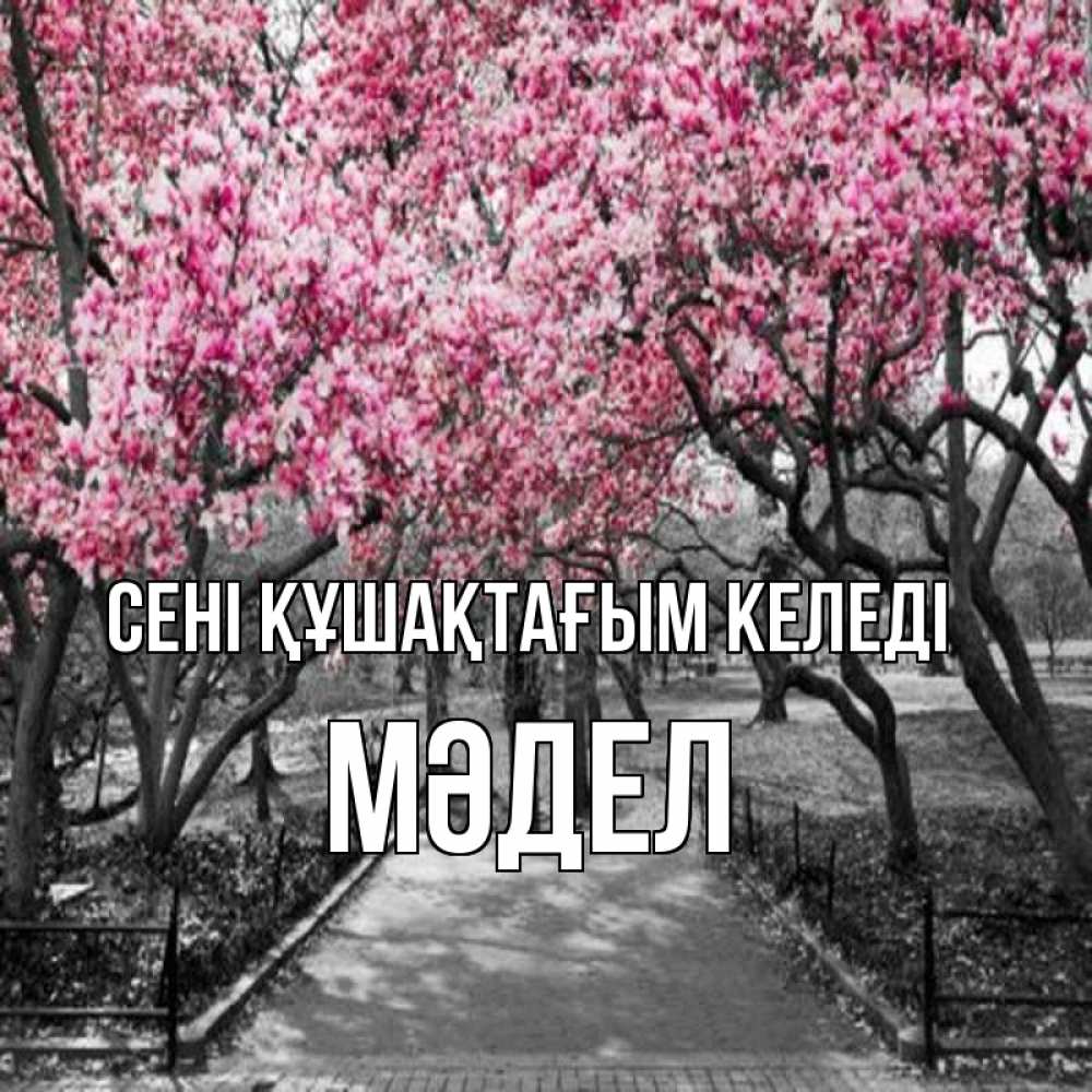 Күн сайын ашық хат с именем, МӘДЕЛ сені құшақтағым келеді обработанное фото Онлайн тегін жүктеп алу тілектері бар керемет карта 