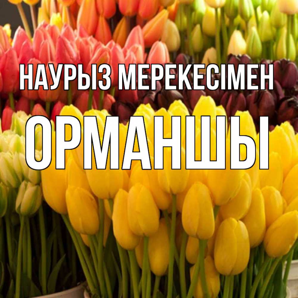 Күн сайын ашық хат с именем, ОРМАНШЫ Наурыз мерекесімен цветы Онлайн тегін жүктеп алу тілектері бар керемет карта 