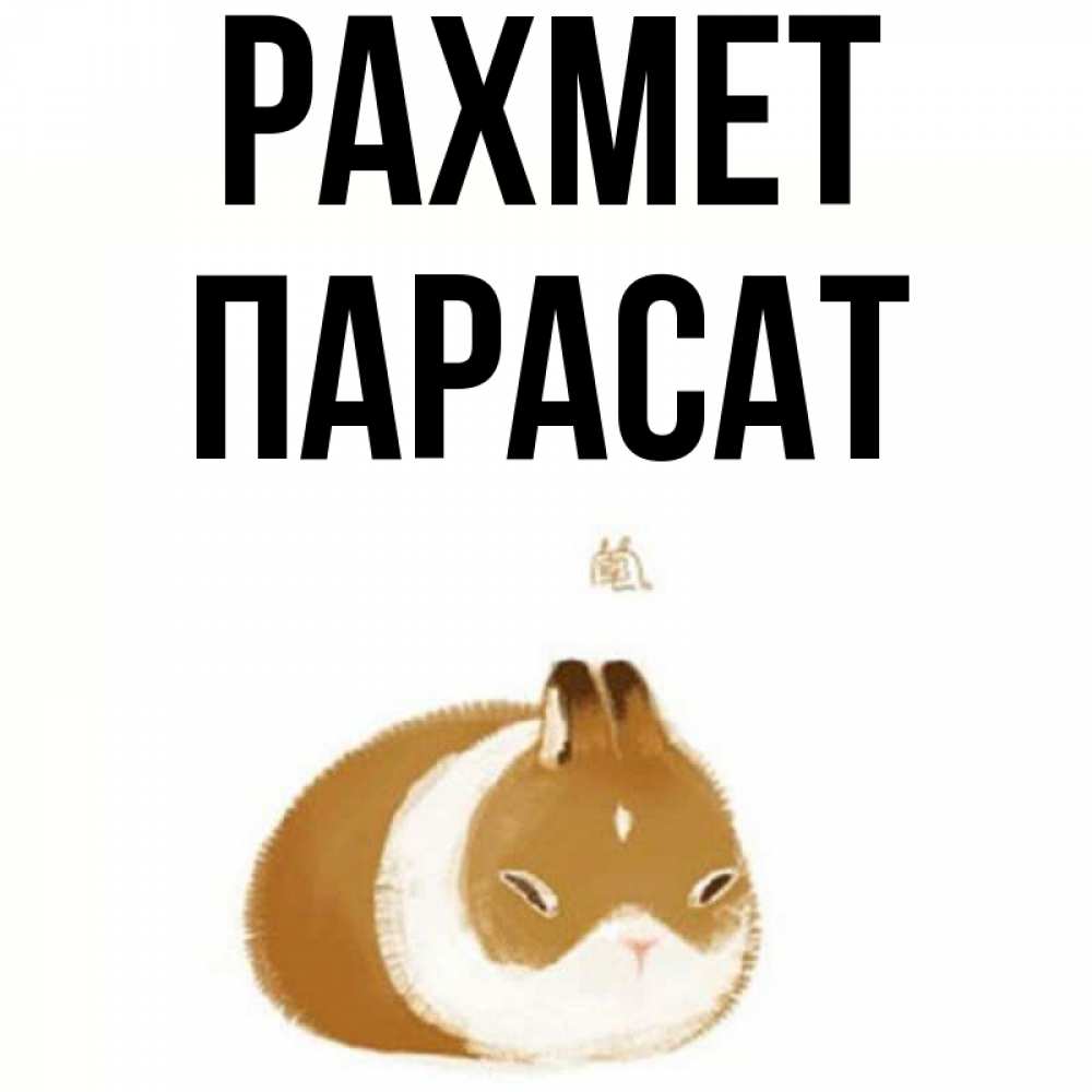 Күн сайын ашық хат с именем, ПАРАСАТ рахмет коричнево белый домашний питомец Онлайн тегін жүктеп алу тілектері бар керемет карта 