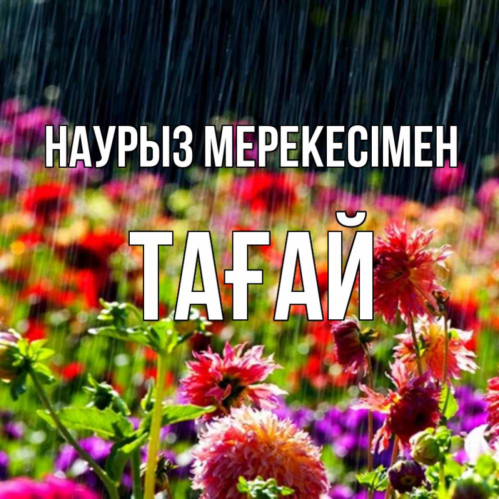 Күн сайын ашық хат с именем, ТАҒАЙ Наурыз мерекесімен цветы под дождиком к международному женскому дню Онлайн тегін жүктеп алу тілектері бар керемет карта 
