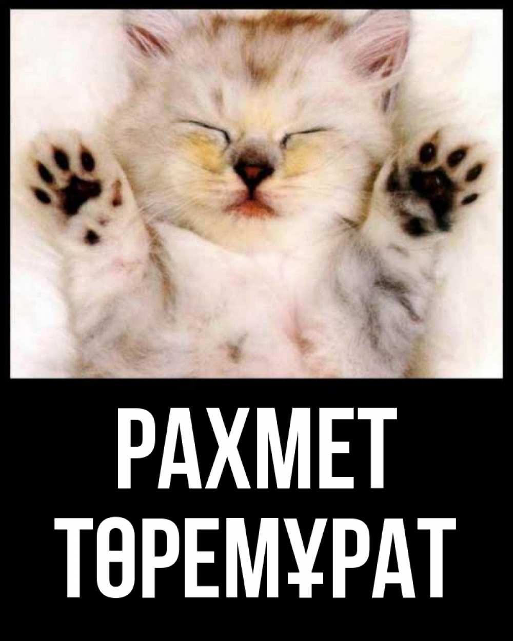 Күн сайын ашық хат с именем, Төремұрат рахмет маленький котенок Онлайн тегін жүктеп алу тілектері бар керемет карта 