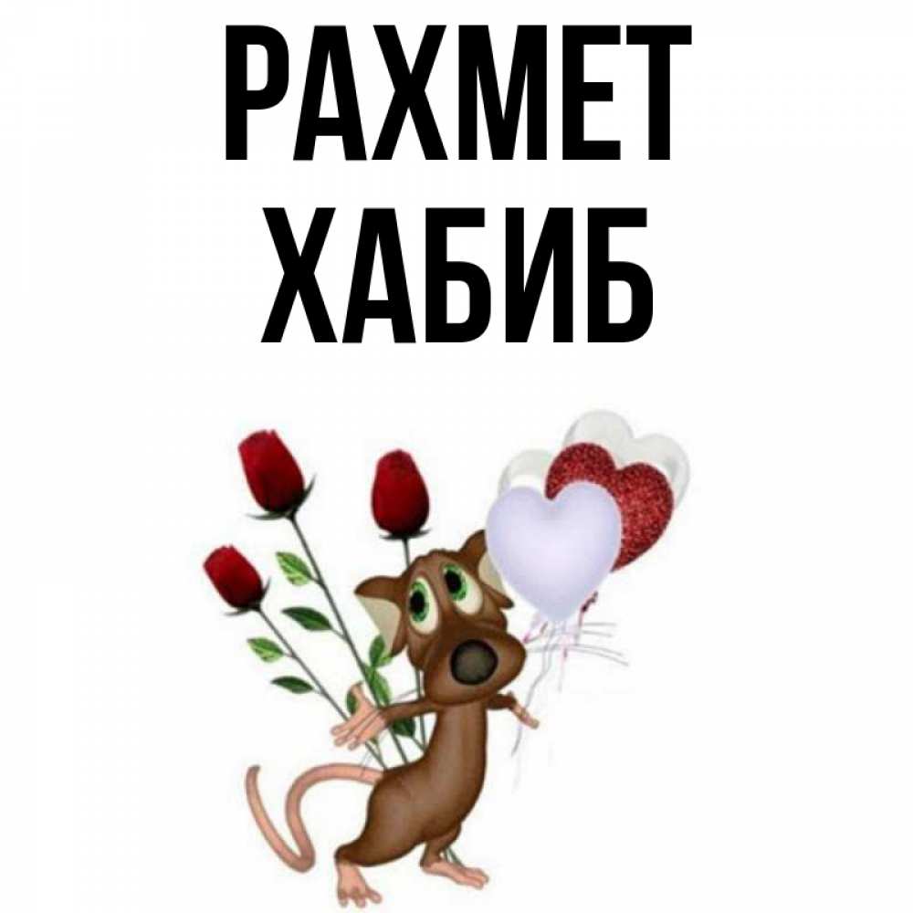 Күн сайын ашық хат с именем, ХАБИБ рахмет песик с шариками в форме сердец Онлайн тегін жүктеп алу тілектері бар керемет карта 