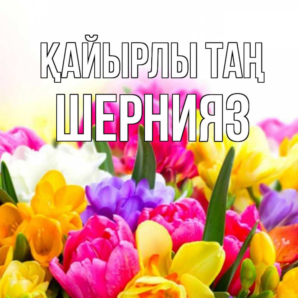 Күн сайын ашық хат с именем, ШЕРНИЯЗ Қайырлы таң создать открытку со свое подписью Онлайн тегін жүктеп алу тілектері бар керемет карта 