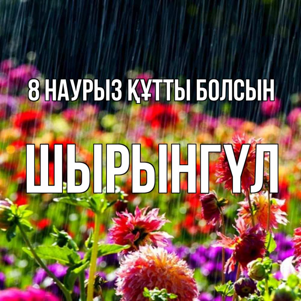 Күн сайын ашық хат с именем, ШЫРЫНГҮЛ 8 наурыз құтты болсын цветы под дождиком к международному женскому дню Онлайн тегін жүктеп алу тілектері бар керемет карта 
