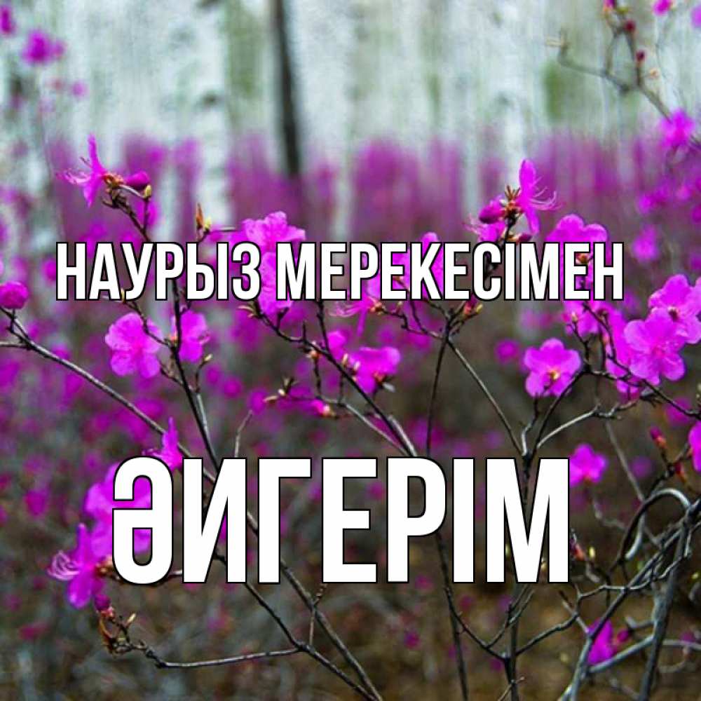 Күн сайын ашық хат с именем, ӘИГЕРІМ Наурыз мерекесімен дикие цветы Онлайн тегін жүктеп алу тілектері бар керемет карта 