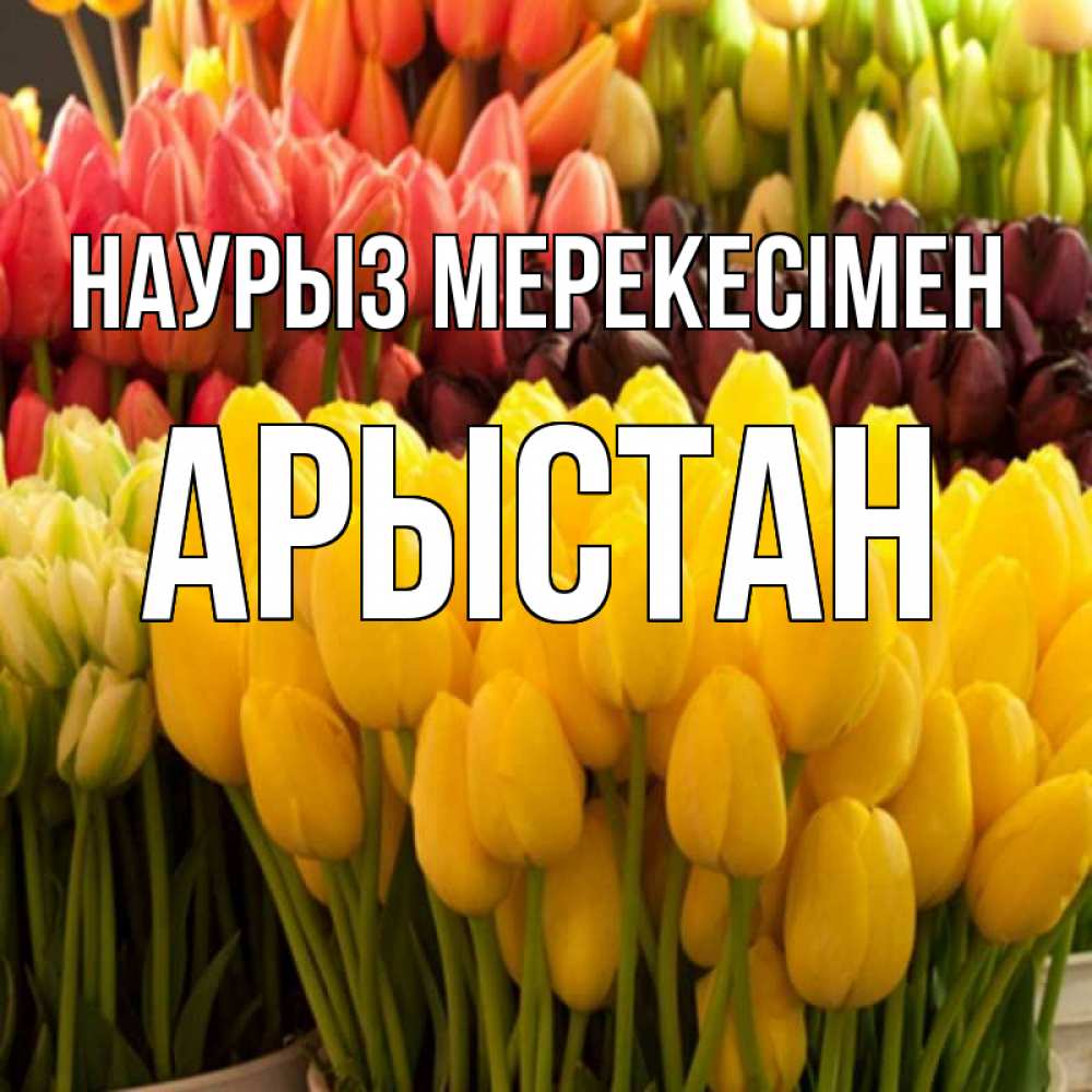 Күн сайын ашық хат с именем, Арыстан Наурыз мерекесімен цветы Онлайн тегін жүктеп алу тілектері бар керемет карта 