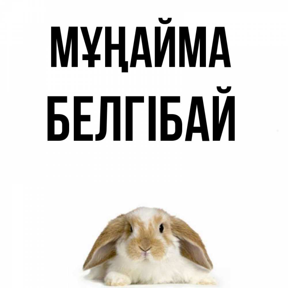 Күн сайын ашық хат с именем, Белгібай Мұңайма коричнево белый заяц с большими ушками Онлайн тегін жүктеп алу тілектері бар керемет карта 