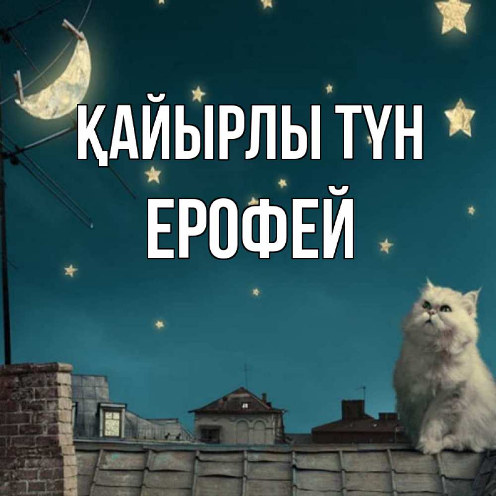 Күн сайын ашық хат с именем, Ерофей Қайырлы түн белый кот сидит на крыше Онлайн тегін жүктеп алу тілектері бар керемет карта 