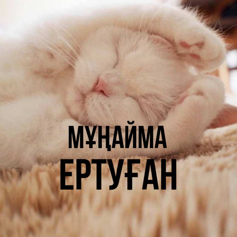 Күн сайын ашық хат с именем, Ертуған Мұңайма Котенок спит Онлайн тегін жүктеп алу тілектері бар керемет карта 