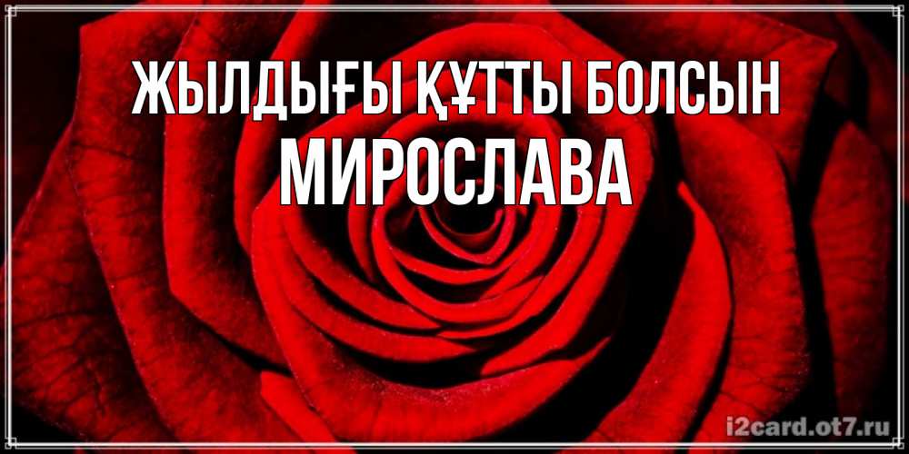 Күн сайын ашық хат с именем, Мирослава Жылдығы құтты болсын алая роза Онлайн тегін жүктеп алу тілектері бар керемет карта 
