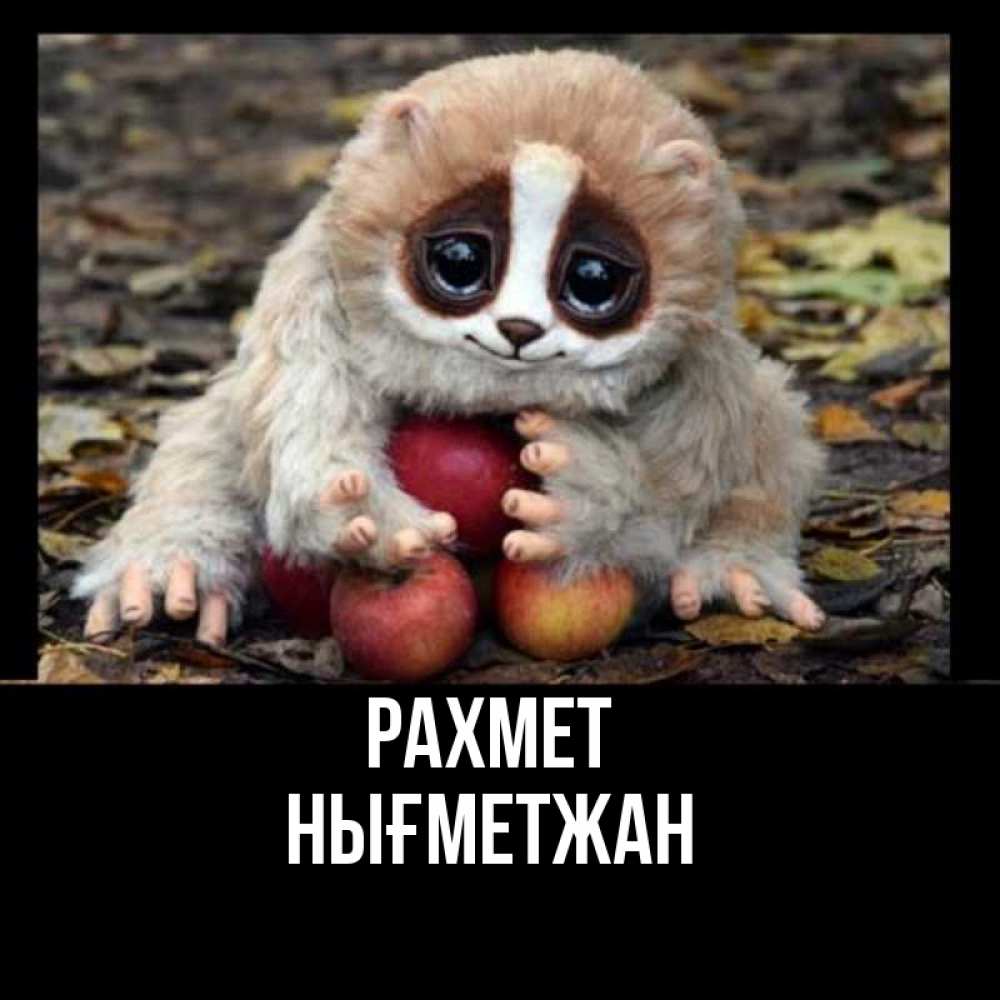 Күн сайын ашық хат с именем, НЫҒМЕТЖАН рахмет прикольное животное Онлайн тегін жүктеп алу тілектері бар керемет карта 